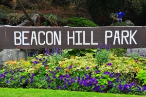 碧根山公園 Beacon Hill Park